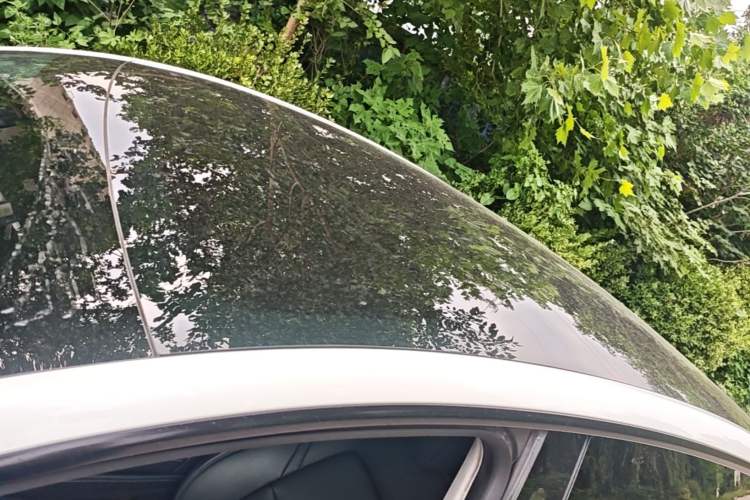 Used Tesla Model Y 2022 Rear-Wheel-Drive Version Roof