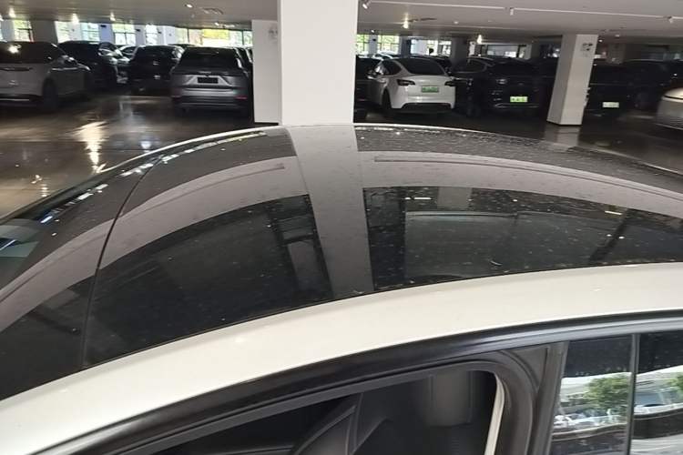 Used Tesla Model Y 2022 Rear-Wheel-Drive Version Roof