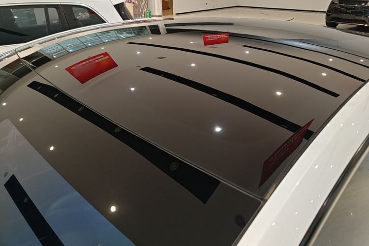 Used Tesla Model Y 2022 Rear-Wheel-Drive Version Roof