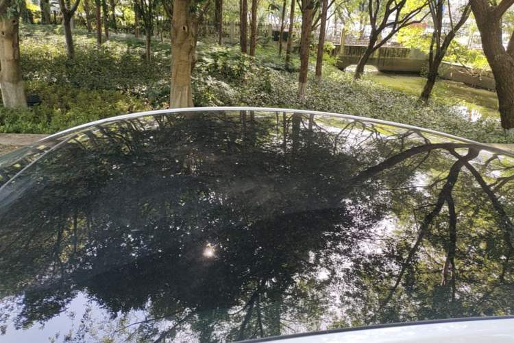 Used Tesla Model Y 2022 Rear-Wheel-Drive Version Roof