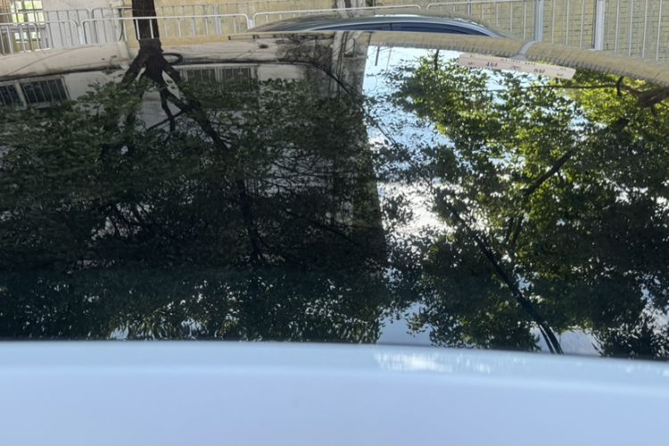 Used Tesla Model Y 2022 Revised Version Rear-Wheel Drive Roof