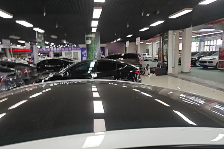 Used Tesla Model Y 2022 Long-Range All-Wheel-Drive Version Roof