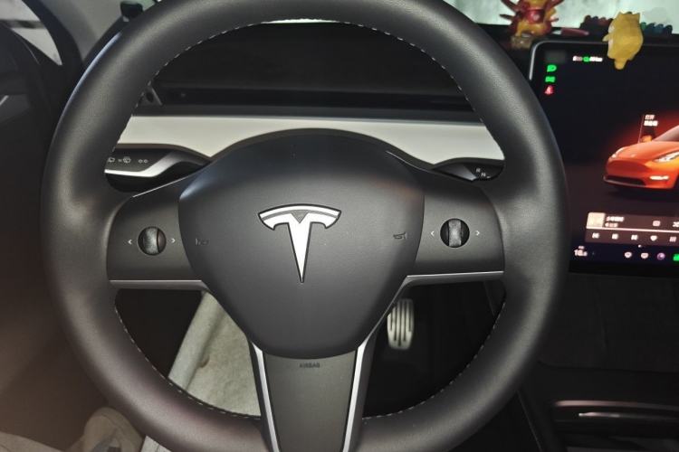 Used Tesla Model Y 2022 Rear-Wheel-Drive Version Steering Wheel