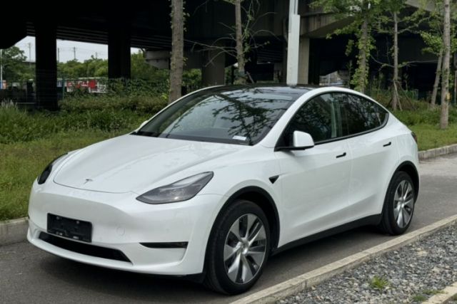 Used Tesla Model Y 2022 Revised Version Long-Range All-Wheel Drive
