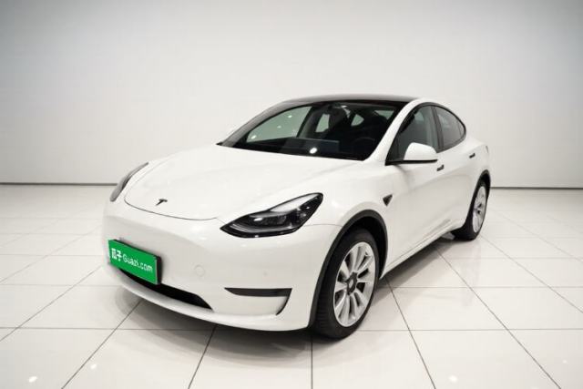 Tesla Model Y 2022 Revised Version Rear-Wheel Drive de segunda mano