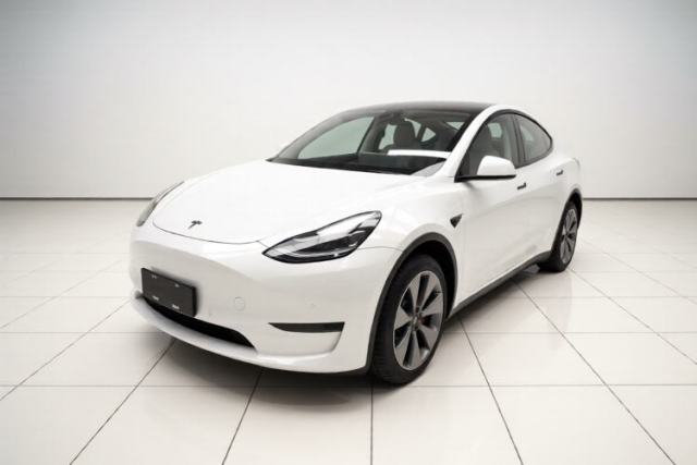 Tesla Model Y 2022 Revised Version Long-Range All-Wheel Drive de segunda mano