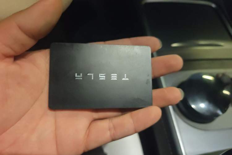 Used Tesla Model Y 2022 Performance High-Performance All-Wheel-Drive Version Vehicle Key