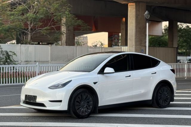 Used Tesla Model Y 2022 Rear-Wheel-Drive Version