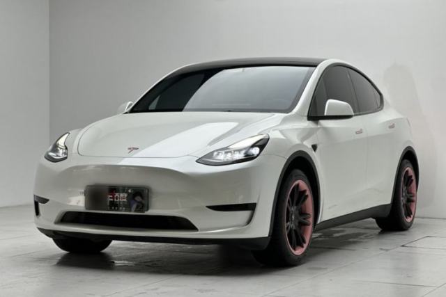 Tesla Model Y 2022 Revised Version Rear-Wheel Drive de segunda mano