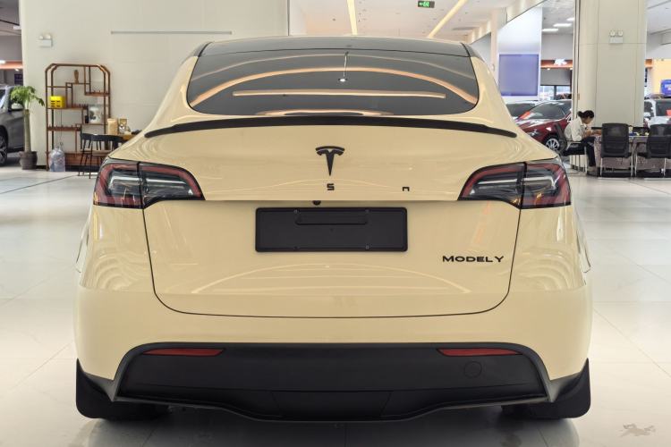 Used Tesla Model Y 2022 Revised Version Rear-Wheel Drive Exterior 4