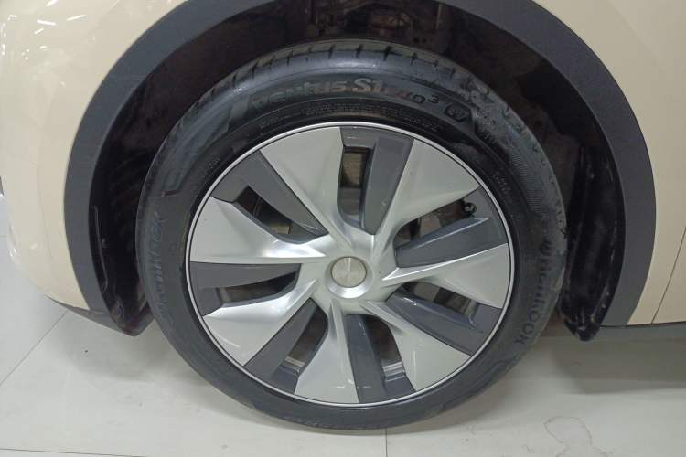 Used Tesla Model Y 2022 Rear-Wheel-Drive Version Exterior 4