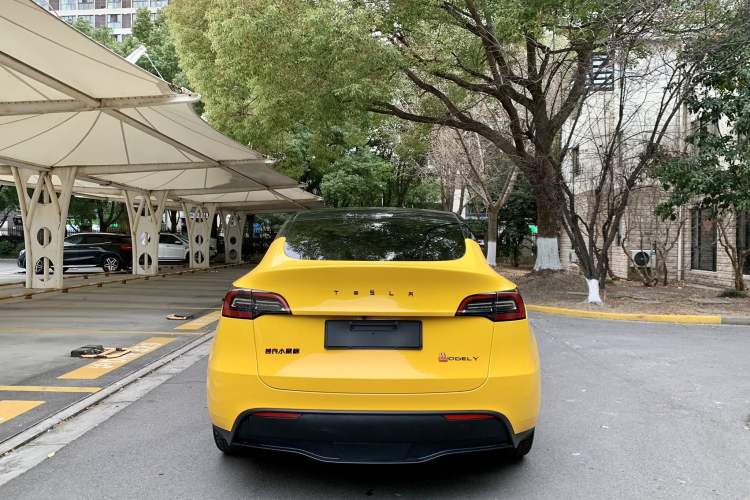 Used Tesla Model Y 2022 Rear-Wheel-Drive Version Exterior 4