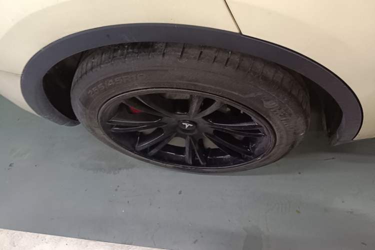 Used Tesla Model Y 2022 Revised Version Rear-Wheel Drive Exterior 5