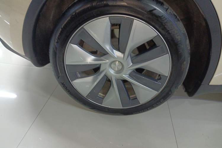 Used Tesla Model Y 2022 Rear-Wheel-Drive Version Exterior 5