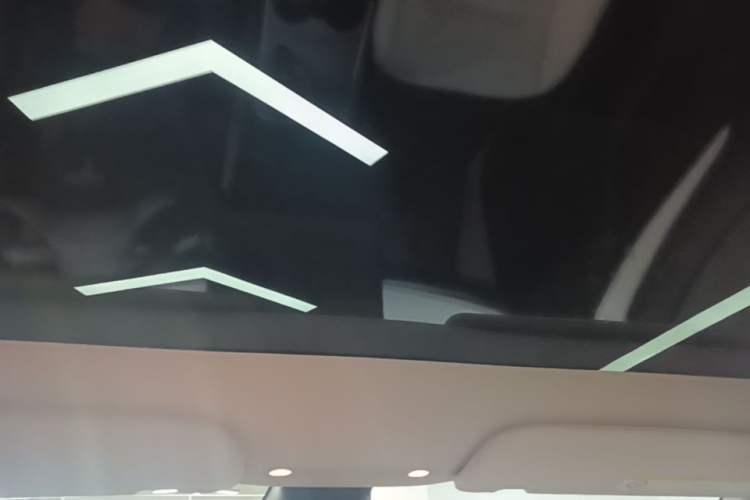 Used Tesla Model Y 2022 Revised Version Rear-Wheel Drive Headliner