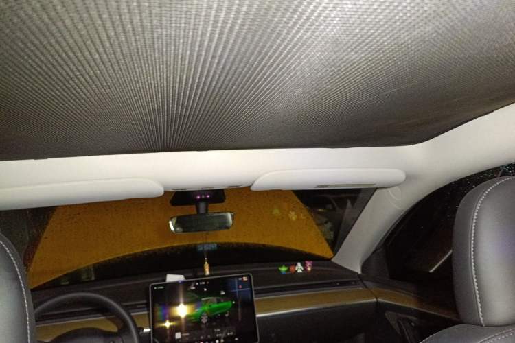 Used Tesla Model Y 2022 Revised Version Rear-Wheel Drive Headliner