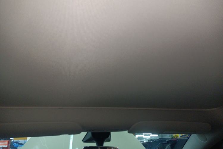 Used Tesla Model Y 2022 Rear-Wheel-Drive Version Headliner