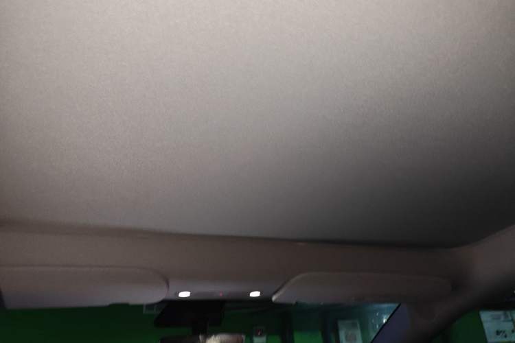 Used Tesla Model Y 2022 Revised Version Rear-Wheel Drive Headliner