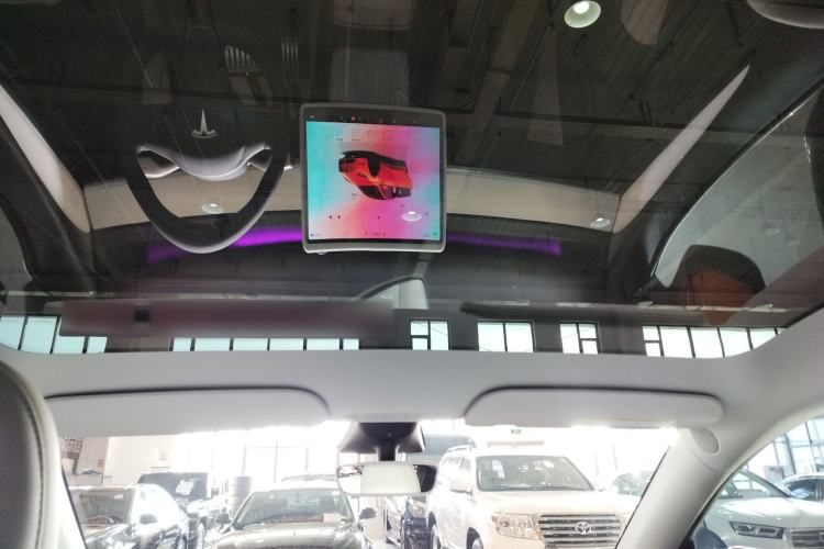 Used Tesla Model Y 2022 Performance High-Performance All-Wheel-Drive Version Headliner