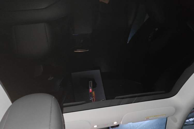 Used Tesla Model Y 2022 Rear-Wheel-Drive Version Headliner