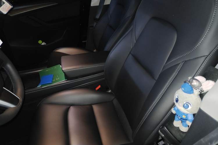 Used Tesla Model Y 2022 Rear-Wheel-Drive Version Left Front Seat