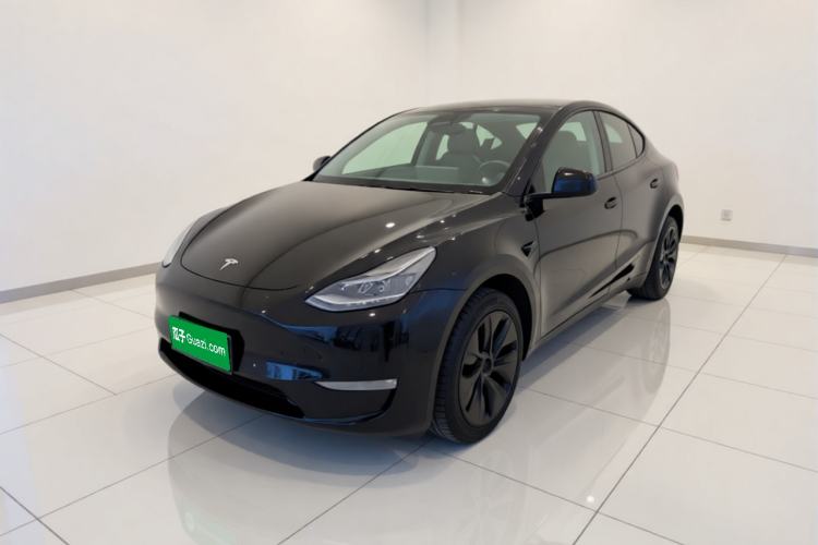 Tesla Model Y 2023 Long-Range All-Wheel-Drive Version