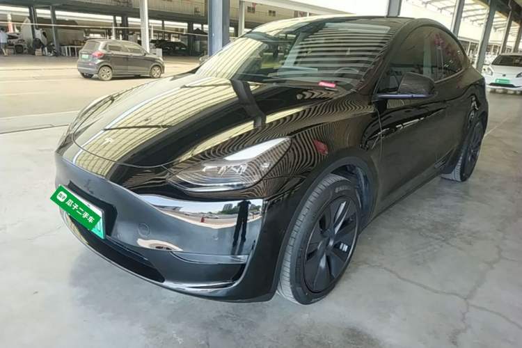 Tesla Model Y 2023 Long-Range All-Wheel-Drive Version