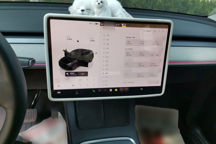 Used Tesla Model Y 2023 Rear-Wheel-Drive Version Audio And AC Panel