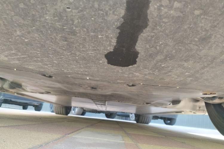 Used Tesla Model Y 2023 Rear-Wheel-Drive Version Chassis Front
