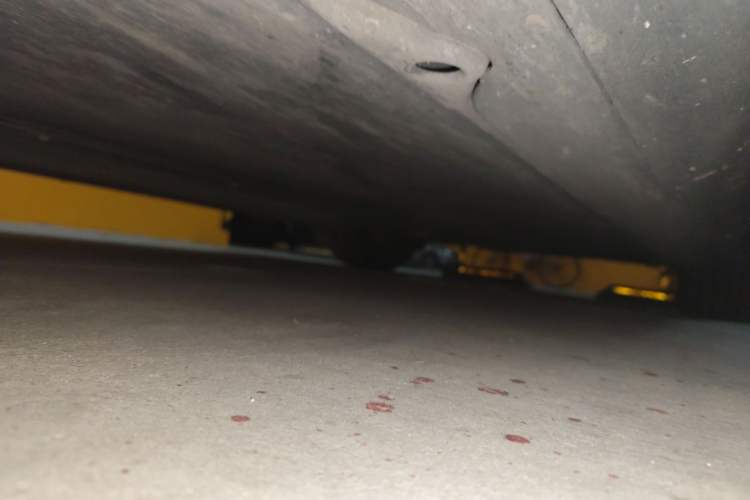 Used Tesla Model Y 2023 Rear-Wheel-Drive Version Chassis Front Left