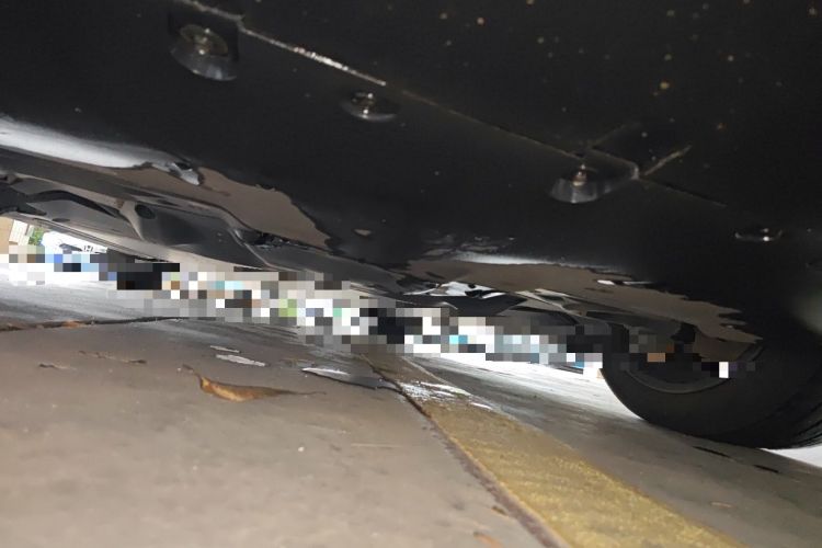 Used Tesla Model Y 2023 Rear-Wheel-Drive Version Chassis Rear