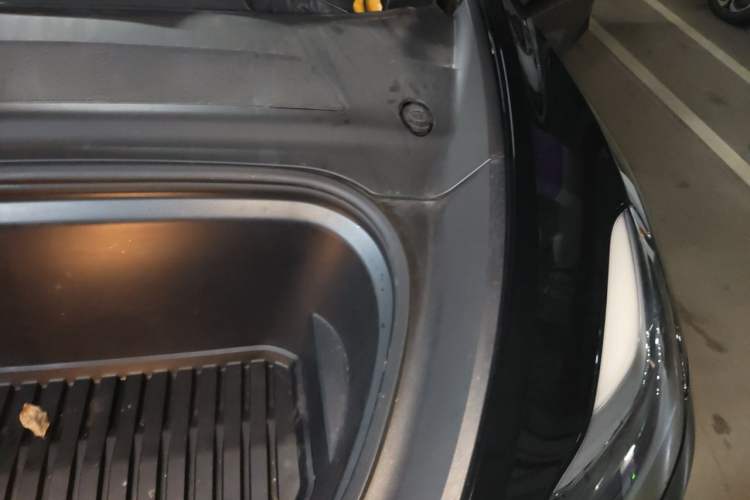 Used Tesla Model Y 2023 Rear-Wheel-Drive Version Engine Bay Left