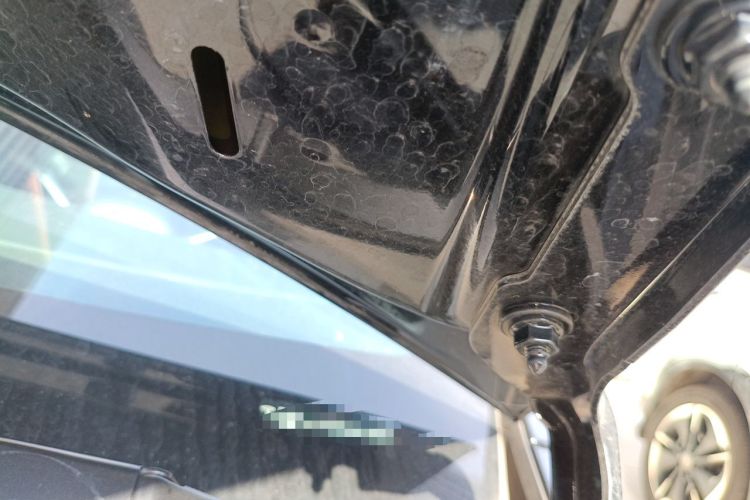 Used Tesla Model Y 2023 Rear-Wheel-Drive Version Engine Bay Left