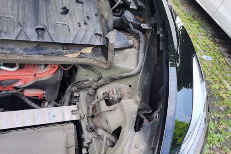 Used Tesla Model Y 2023 Rear-Wheel-Drive Version Engine Bay Left