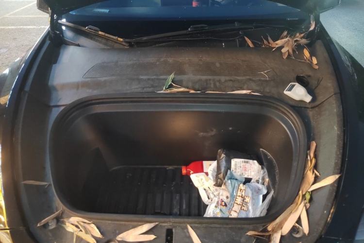 Used Tesla Model Y 2023 Rear-Wheel-Drive Version Engine Bay
