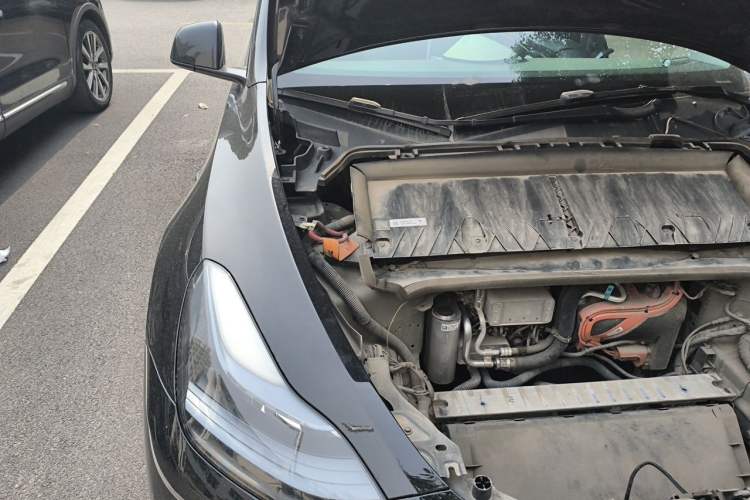 Used Tesla Model Y 2023 Rear-Wheel-Drive Version Engine Bay Right