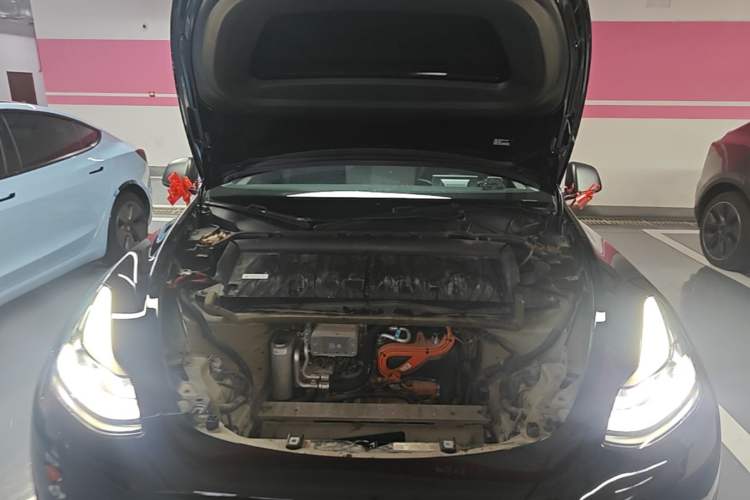 Used Tesla Model Y 2023 Long-Range All-Wheel-Drive Version Engine Bay