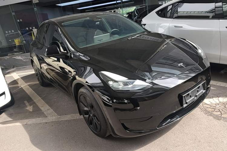Used Tesla Model Y 2023 Rear-Wheel-Drive Version Exterior 1