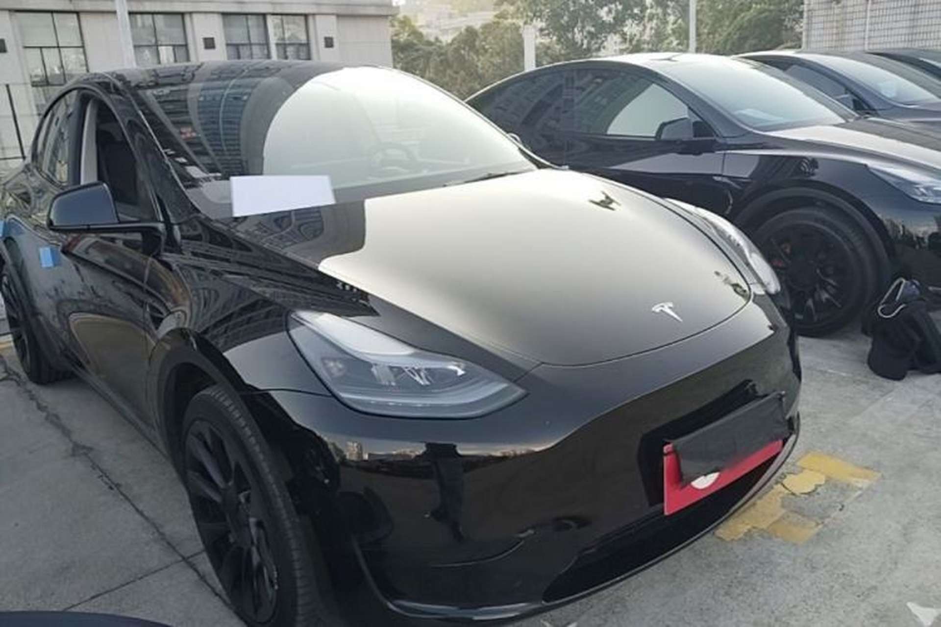 Used Tesla Model Y 2023 Rear-Wheel-Drive Version Exterior 1