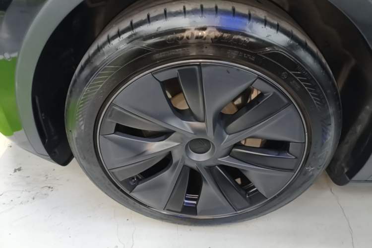 Used Tesla Model Y 2023 Rear-Wheel-Drive Version Exterior 1