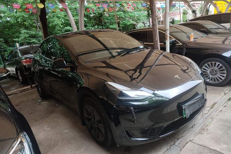 Used Tesla Model Y 2023 Rear-Wheel-Drive Version Exterior 1