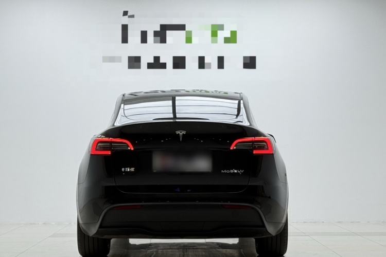 Used Tesla Model Y 2023 Rear-Wheel-Drive Version Exterior 1
