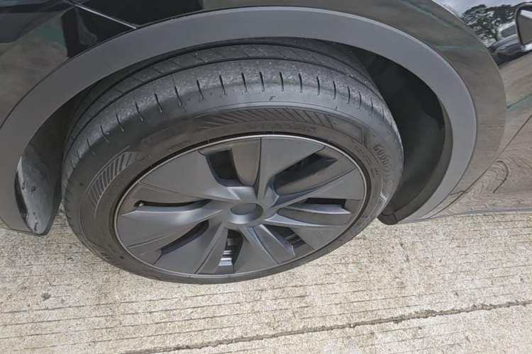Used Tesla Model Y 2023 Rear-Wheel-Drive Version Exterior 1