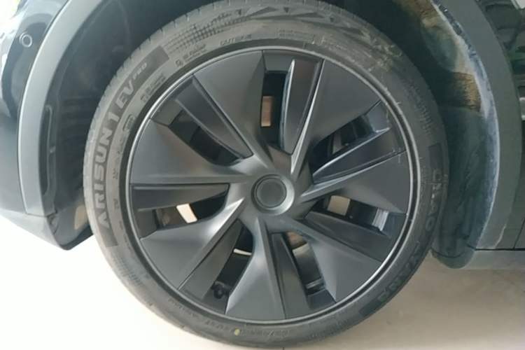 Used Tesla Model Y 2023 Rear-Wheel-Drive Version Exterior 1