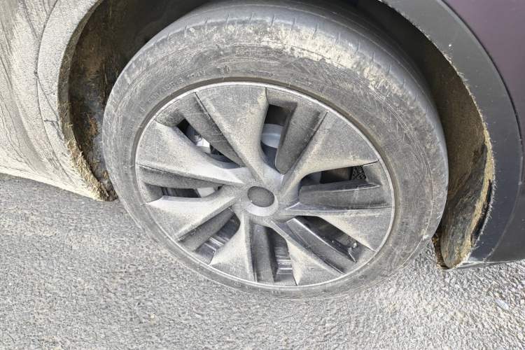 Used Tesla Model Y 2023 Rear-Wheel-Drive Version Exterior 1