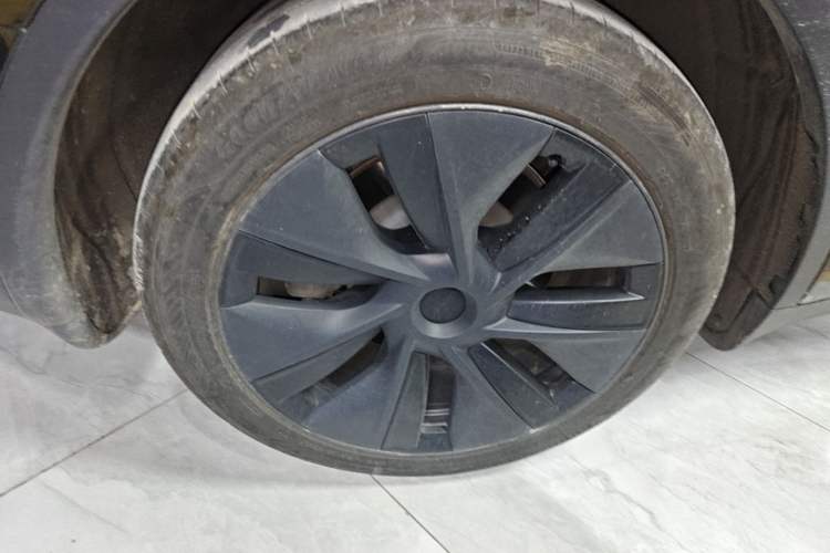 Used Tesla Model Y 2023 Rear-Wheel-Drive Version Exterior 1
