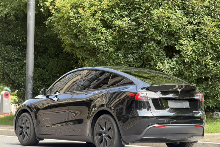 Used Tesla Model Y 2023 Rear-Wheel-Drive Version Exterior 1