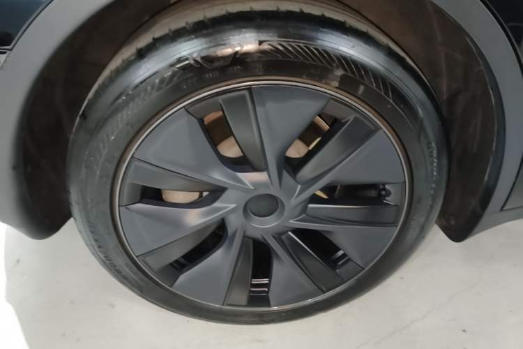 Used Tesla Model Y 2023 Rear-Wheel-Drive Version Exterior 2