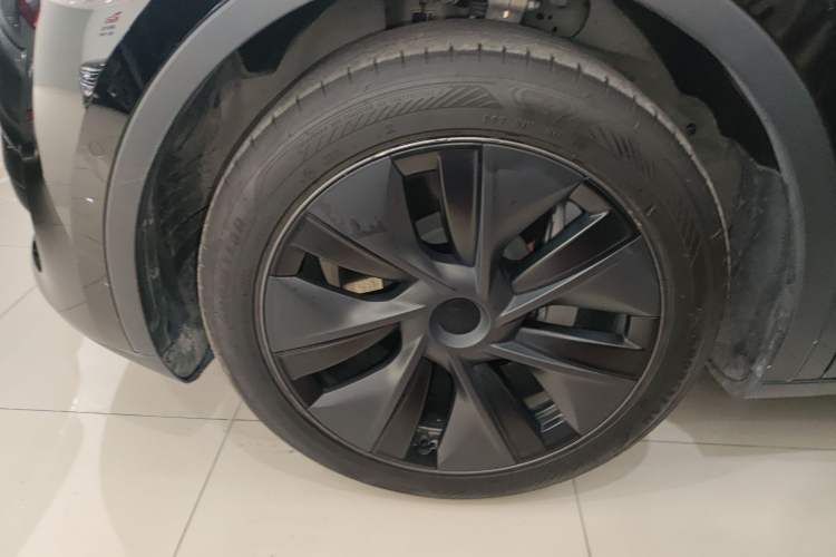 Used Tesla Model Y 2023 Rear-Wheel-Drive Version Exterior 2