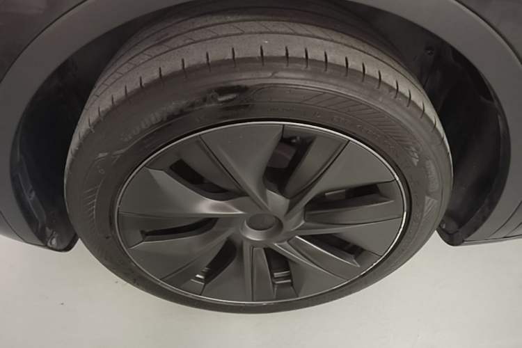 Used Tesla Model Y 2023 Rear-Wheel-Drive Version Exterior 2